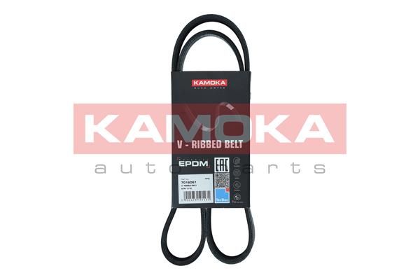 Pasek klinowy wielorowkowy KAMOKA 7016061