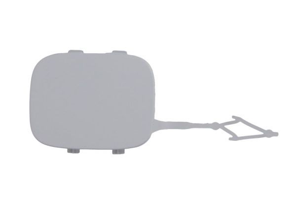 acoperire tampon,sistem de remorcare BLIC 5513-00-0532920P
