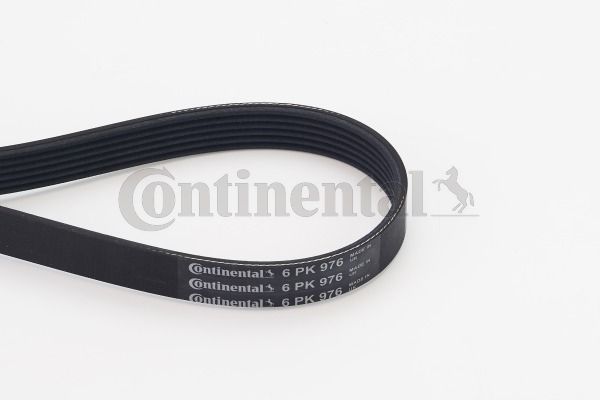Pasek klinowy wielorowkowy CONTINENTAL CTAM 6PK976