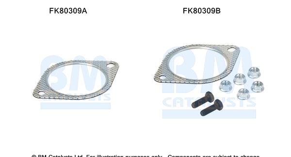 Zestaw montażowy, katalizator BM CATALYSTS FK80309
