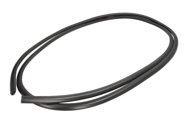 Elemente decorative/protectie, parbriz BLIC 5703-04-6037828Q