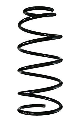 Arc spiral SPIDAN 85991