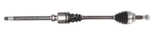 Planetara MTR 12191849