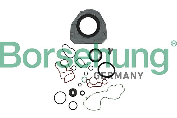 Set garnituri, chiulasa BORSEHUNG B19189