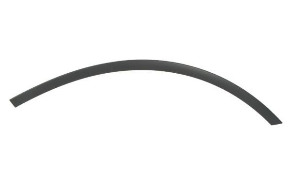 Ehis-/kaitseliist,Poritiib