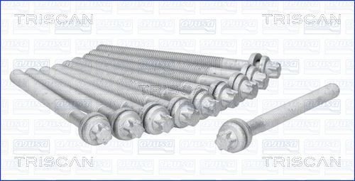 Zestaw śrub głowicy cylindrów TRISCAN 98-5597