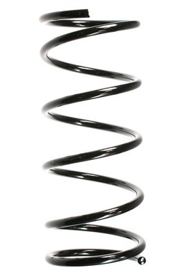 Arc spiral SPIDAN 55337