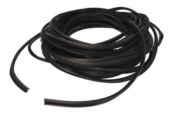 Garnitura, parbriz BLIC 5703-04-6038003Q
