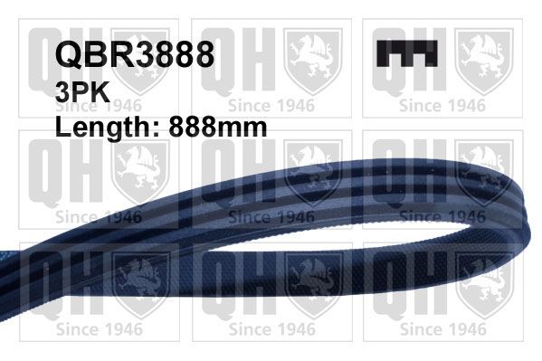 Pasek klinowy wielorowkowy QUINTON HAZELL QBR3888
