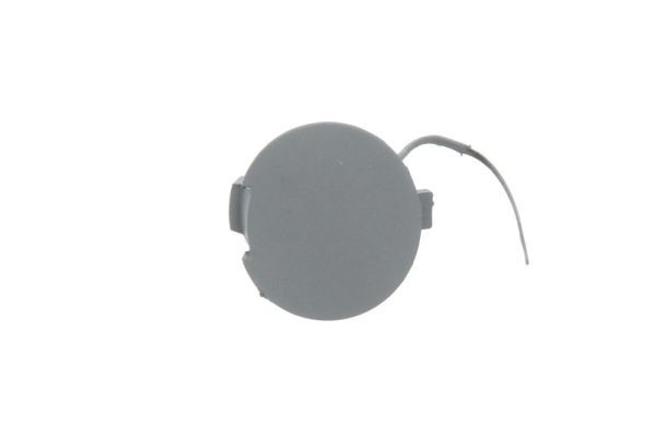 acoperire tampon,sistem de remorcare BLIC 5513-00-0110920Q