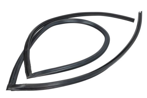 Elemente decorative/protectie, parbriz BLIC 5703-04-6037338Q