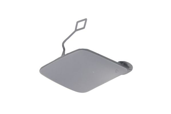 acoperire tampon,sistem de remorcare BLIC 5513-00-0063921Q