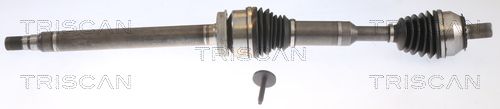 Planetara TRISCAN 8540 27522