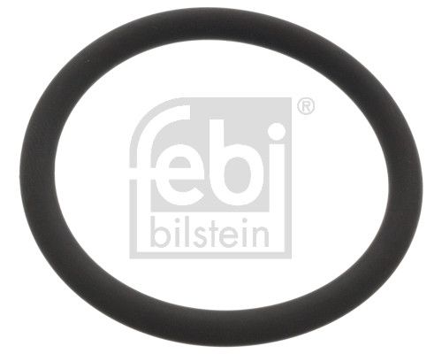 Inel De Etanșare, pompă de apă FEBI BILSTEIN 48765