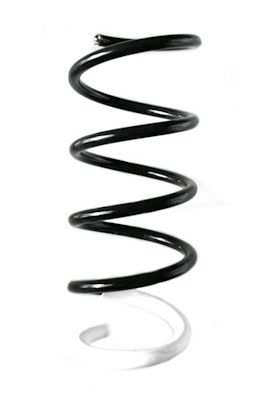 Arc spiral SPIDAN 87046