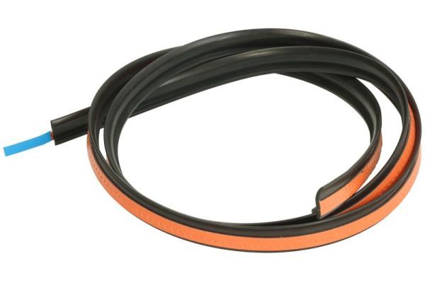 Elemente decorative/protectie, parbriz BLIC 5703-04-6037176Q