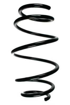 Arc spiral SPIDAN 55107