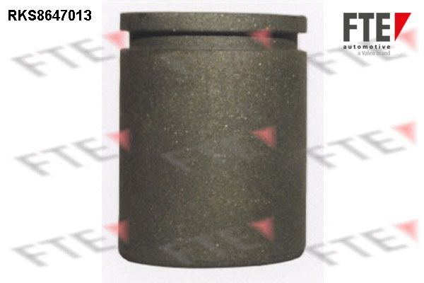 Tłoczek, zacisk hamulca FTE 9313076
