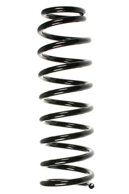 Arc spiral SPIDAN 55049