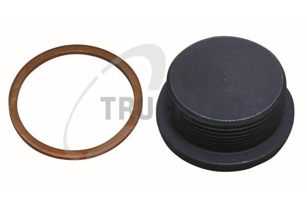 buson,bloc motor TRUCKTEC 01.43.329