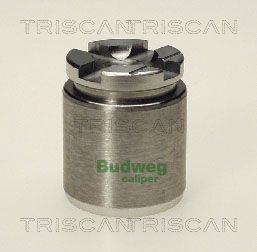 Tłoczek, zacisk hamulca TRISCAN 8170 233205