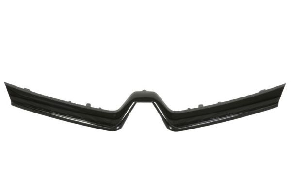 Ehis-/kaitseliist,Grill