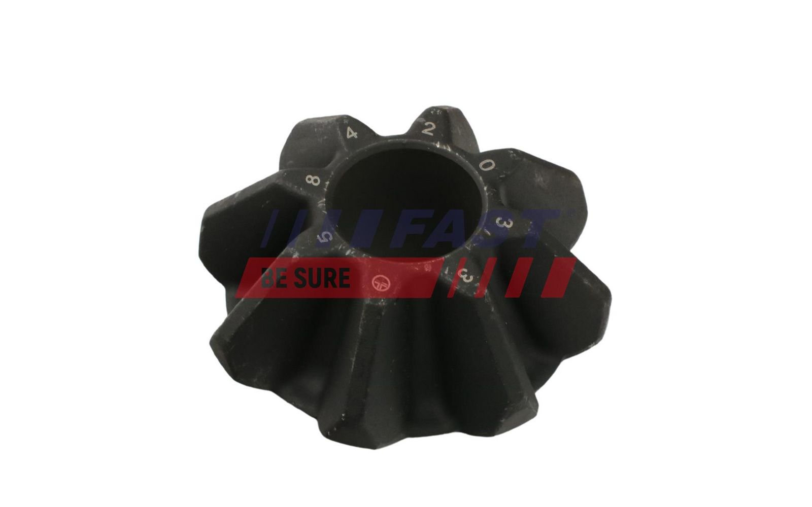 Taler -/ con pinion set FAST FT66204