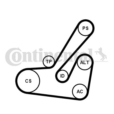 Zestaw paska klinowego wielorowkowego CONTINENTAL CTAM 6PK1145K2