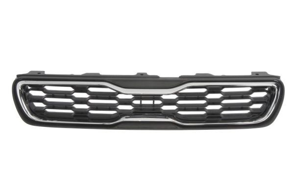 Grille de radiateur