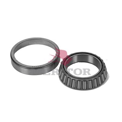 Set rulment, diferential MERITOR 55206C