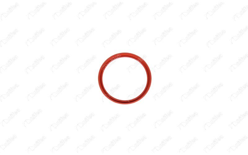 Bague d'étanchéité, gaine de suralimentation