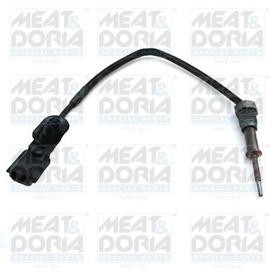 czujnik, temperatura spalin MEAT & DORIA 12359