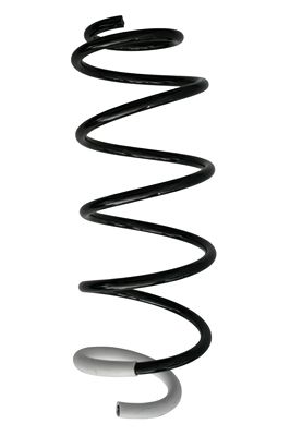 Arc spiral SPIDAN 87351