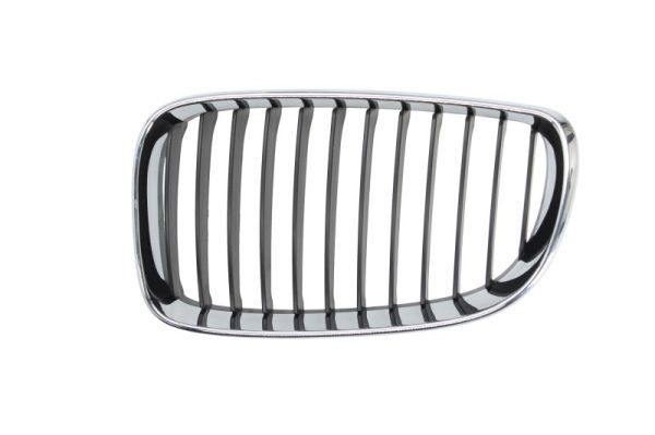 Grila radiator BLIC 6502-07-0085991PQ
