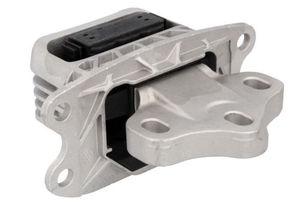 Suport motor REINHOCH RH12-0049