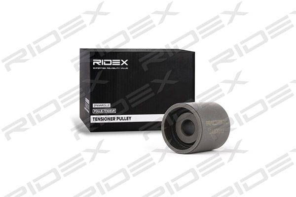 rolka kierunkowa / prowadząca, pasek rozrządu RIDEX 313D0012