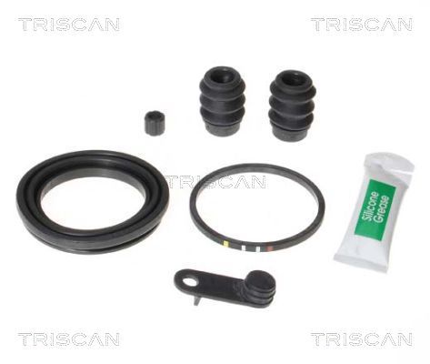 Zestaw naprawczy, zacisk hamulca TRISCAN 8170 205495