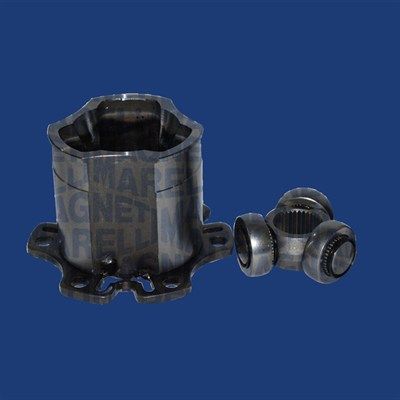 Set articulatie, planetara MAGNETI MARELLI 302009100046