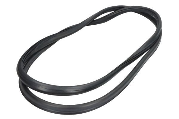 Garnitura, parbriz BLIC 5703-04-6037999Q