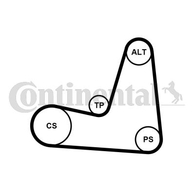 Zestaw paska klinowego wielorowkowego CONTINENTAL CTAM 5PK1135K1