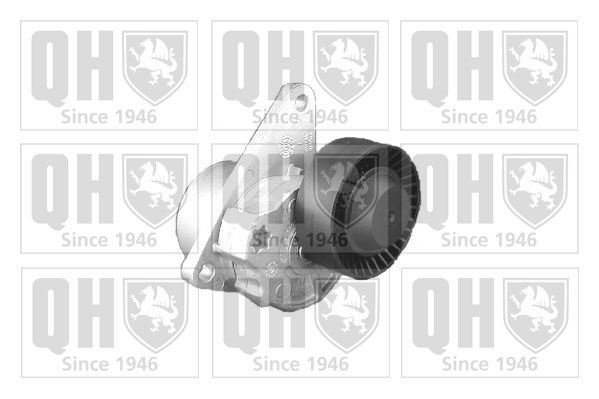 Napinacz, pasek klinowy wielorowkowy QUINTON HAZELL QTA1095