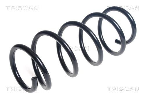 Arc spiral TRISCAN 8750 23194