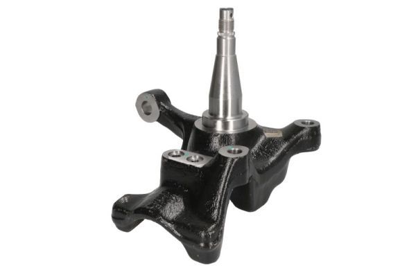 Articulatie directie, suspensie roata REINHOCH AF10131