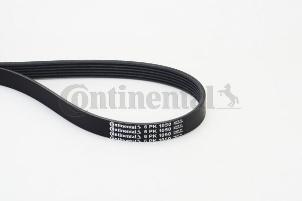 Pasek klinowy wielorowkowy CONTINENTAL CTAM 6PK1050