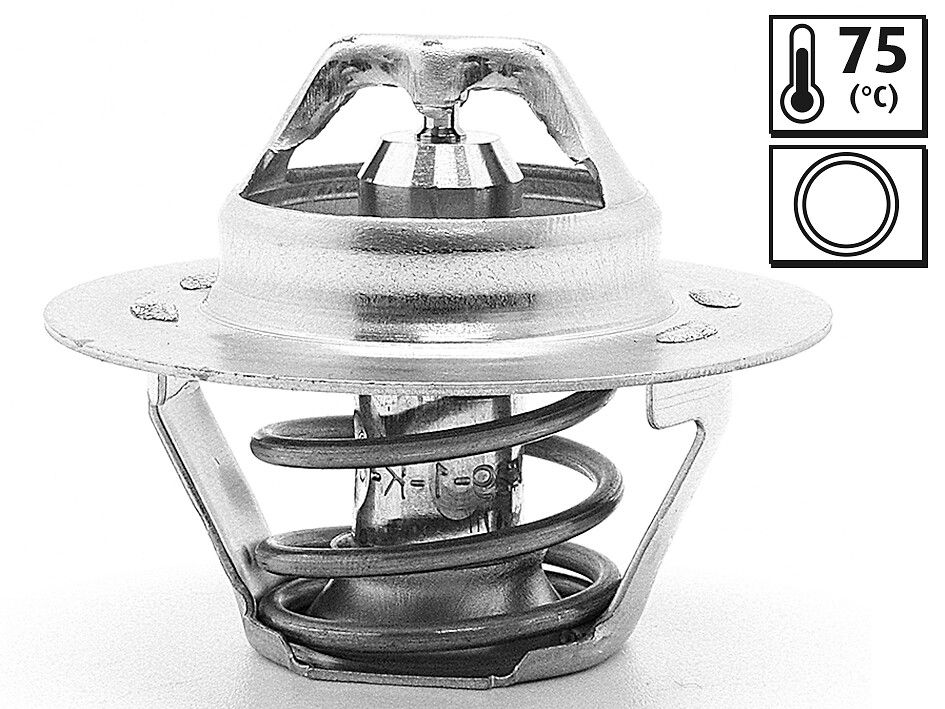 termostat,lichid racire VALEO 819859