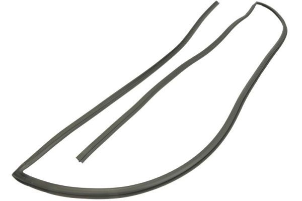 Garnitura, parbriz BLIC 5703-04-6037668Q