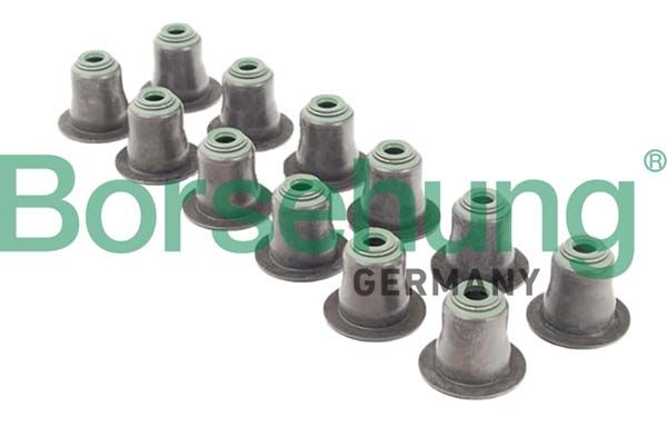 Uszczelniacz, trzonek zaworu BORSEHUNG B12508