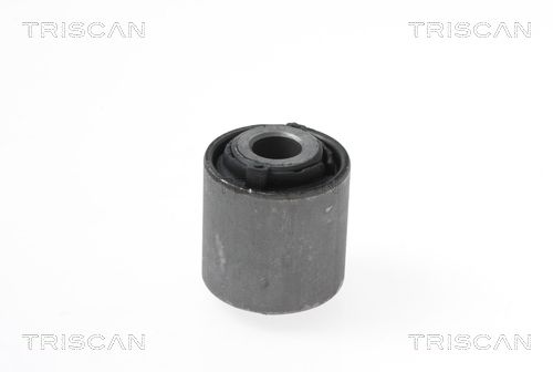 Łożyskowanie, wahacz TRISCAN 8500 17823