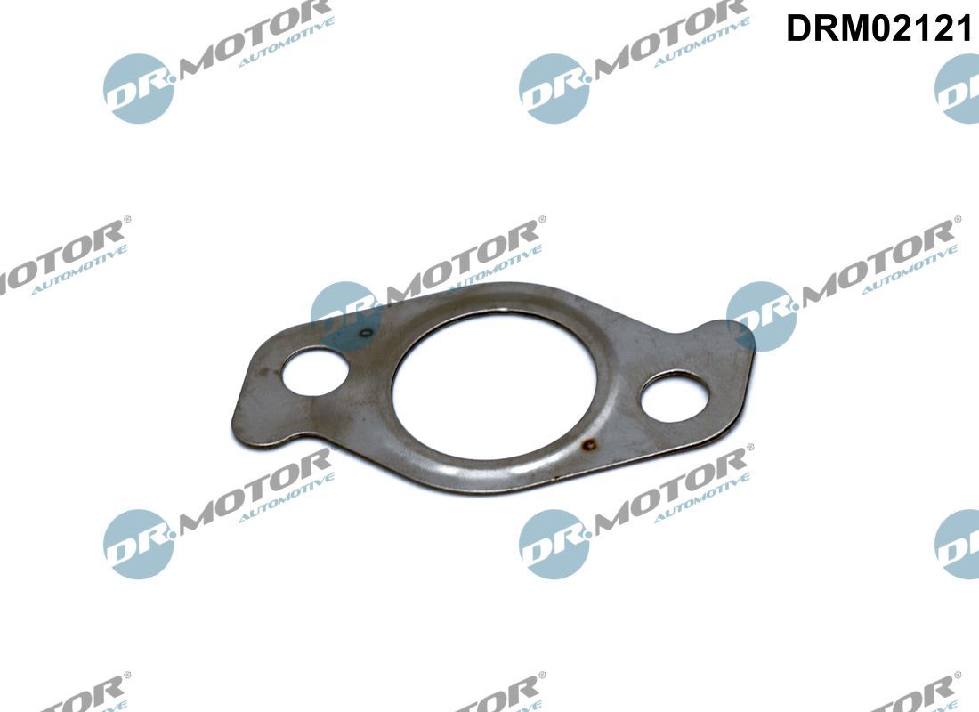 Uszczelnienie, zawór AGR DR.MOTOR AUTOMOTIVE DRM02121