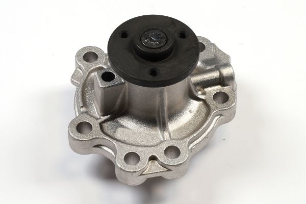 Pompă de apă, răcire motor HEPU P396